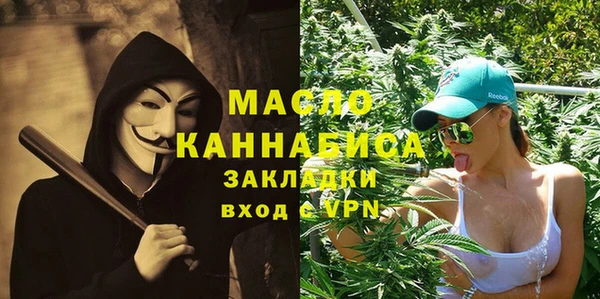 гидра Гусь-Хрустальный