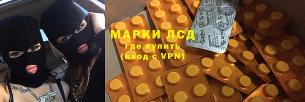 гидра Гусь-Хрустальный