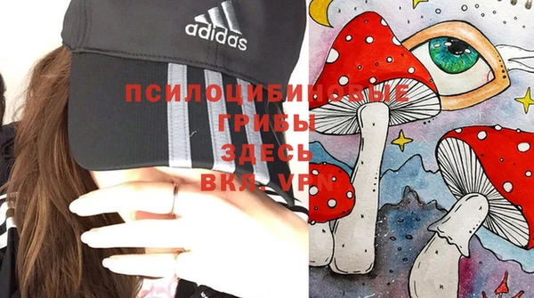 гашишное масло Горнозаводск