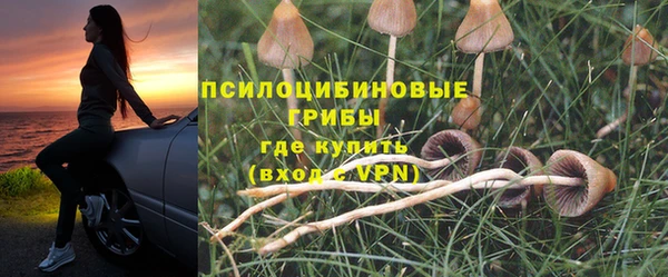 метадон Горняк