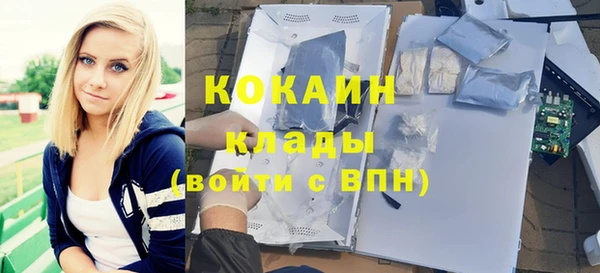 молекула духа Гусиноозёрск