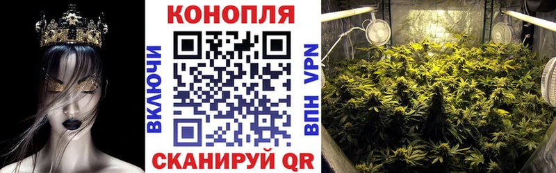 Бошки Шишки VHQ  mega   Северская 